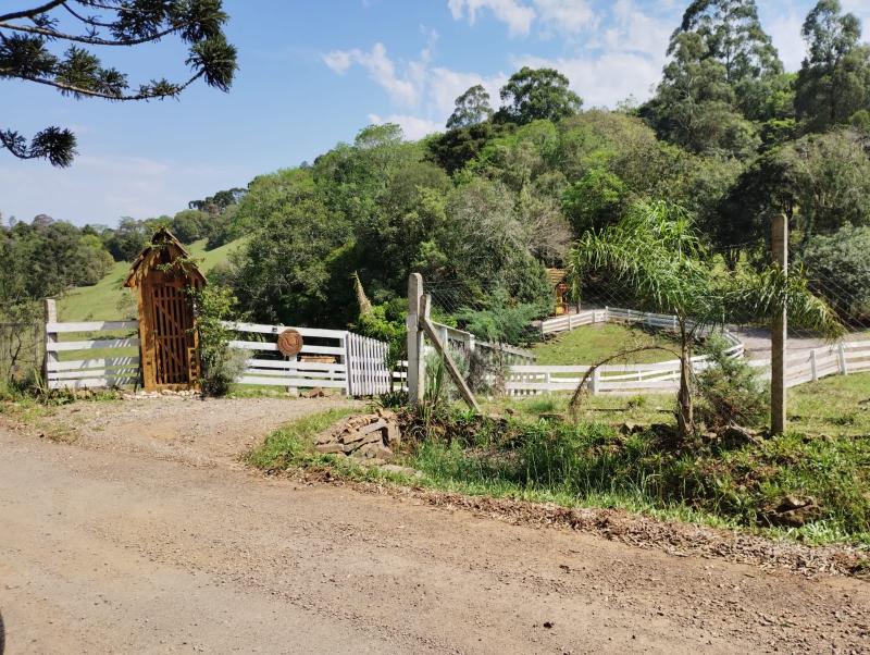 SÍTIO - Gramado, Nova Prata - RS