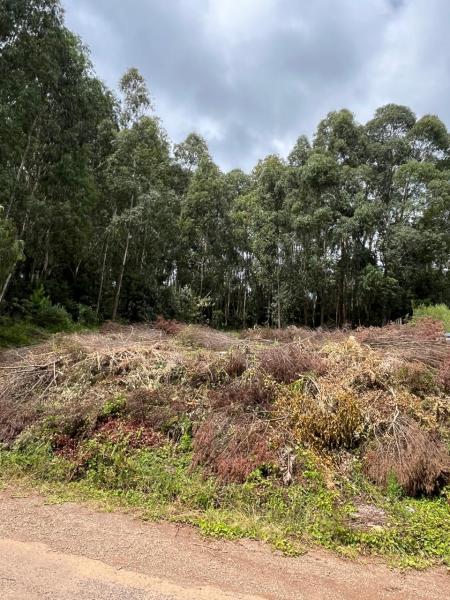 TERRENO - Retiro, Nova Prata - RS