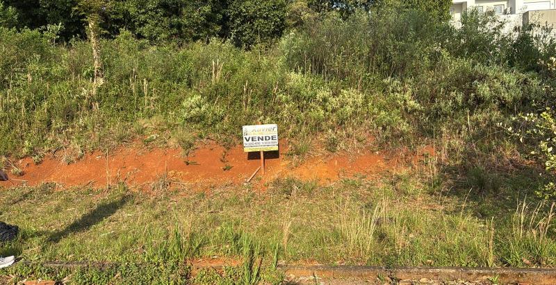 TERRENO - Basalto, Nova Prata - RS