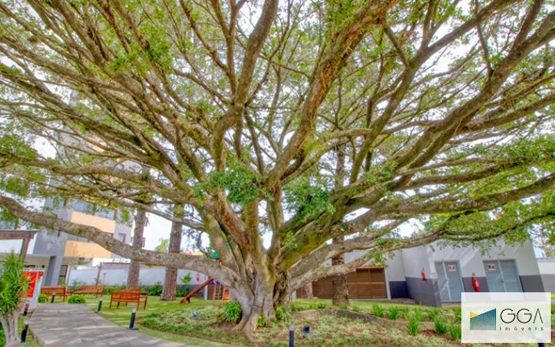 APARTAMENTO APT1163990