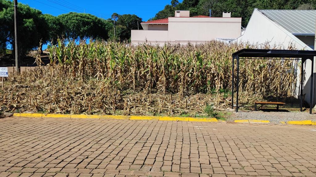 TERRENO,  TER1319969