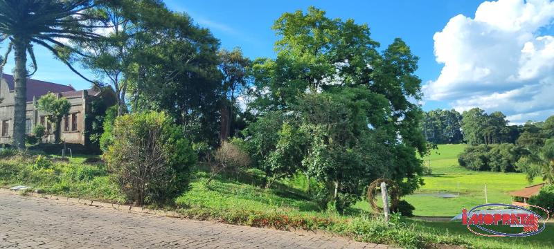 ÁREA DE TERRAS