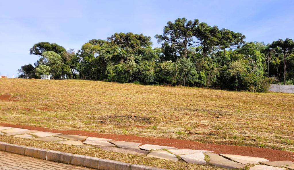 TERRENO EM CONDOMÍNIO,  TEC1211956
