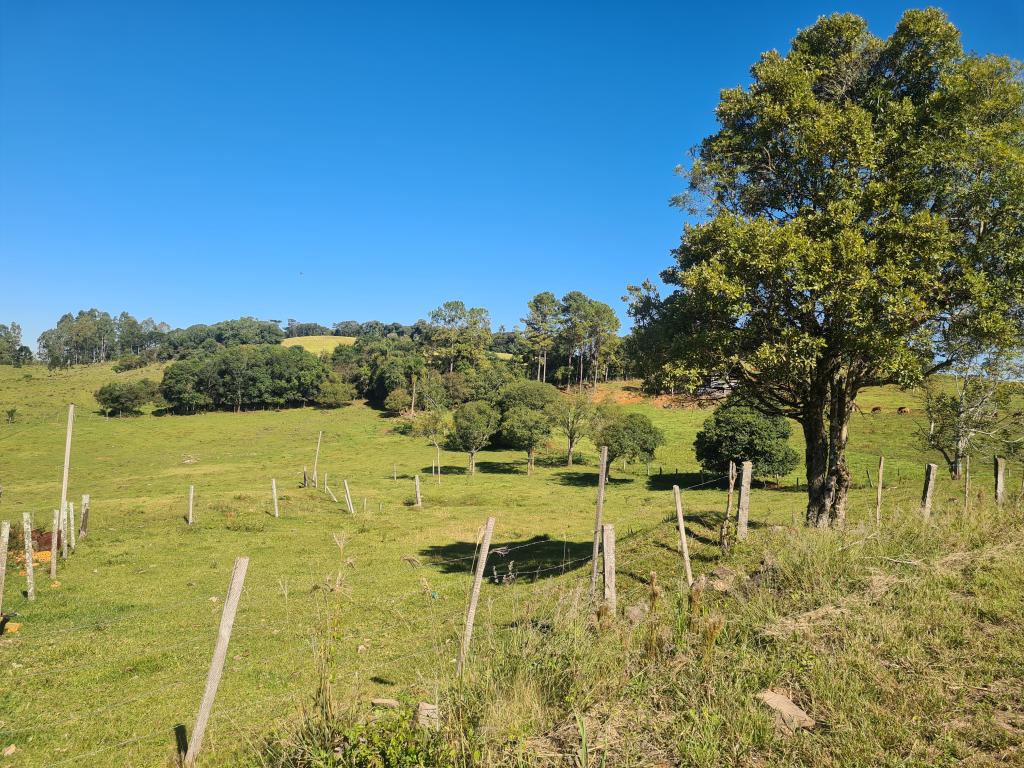 TERRENO,  TER1220828