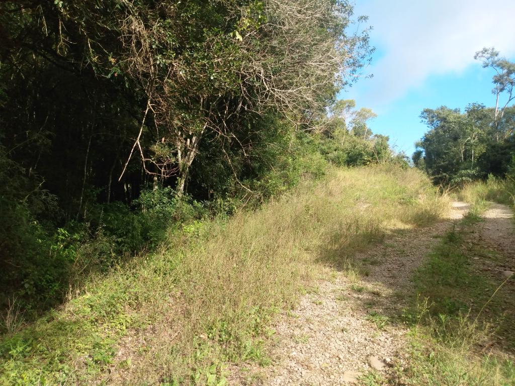 ÁREA DE TERRAS,  ART1211923