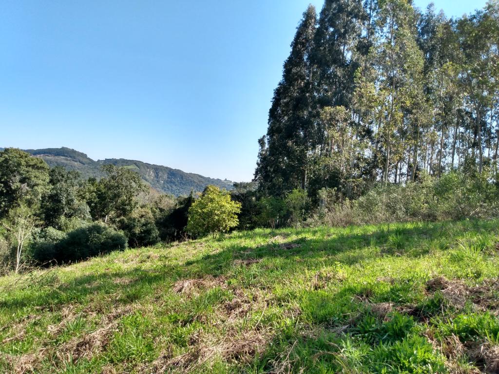 ÁREA DE TERRAS - ART1211937