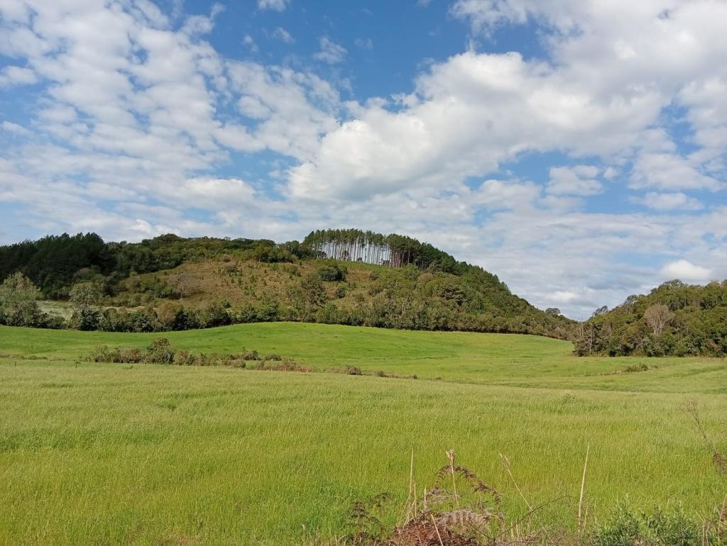 ÁREA DE TERRAS,  ART1329805