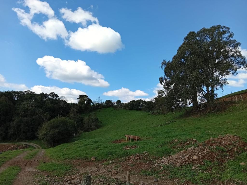 ÁREA DE TERRAS,  ART1329824