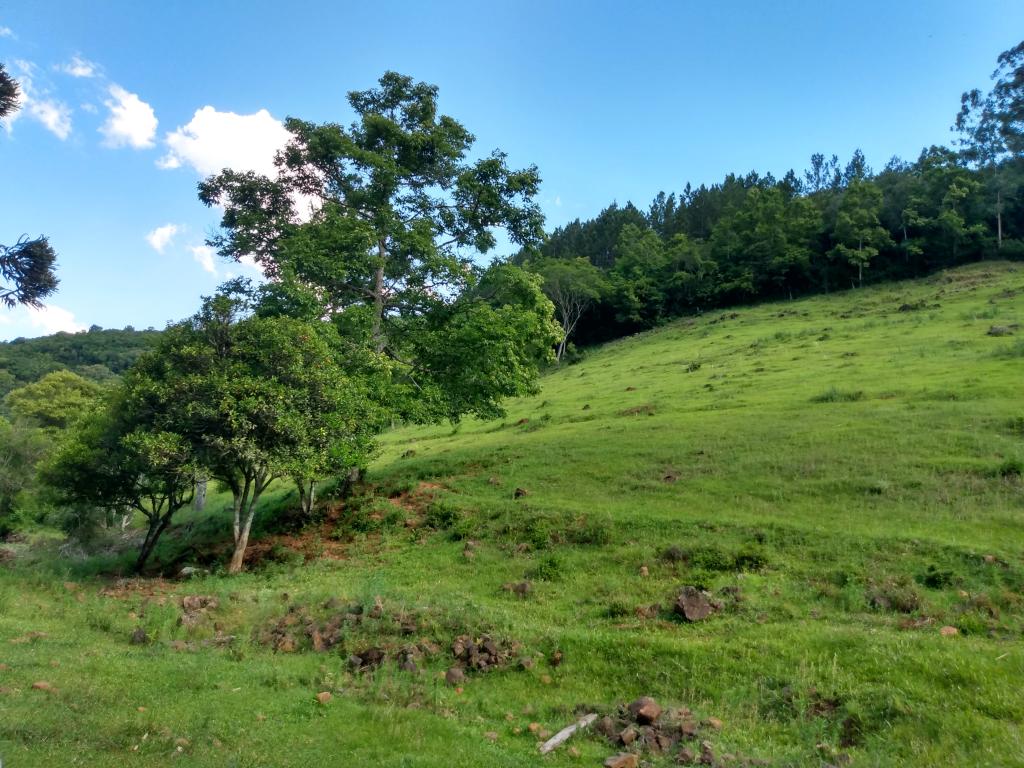 ÁREA DE TERRAS,  ART1211914