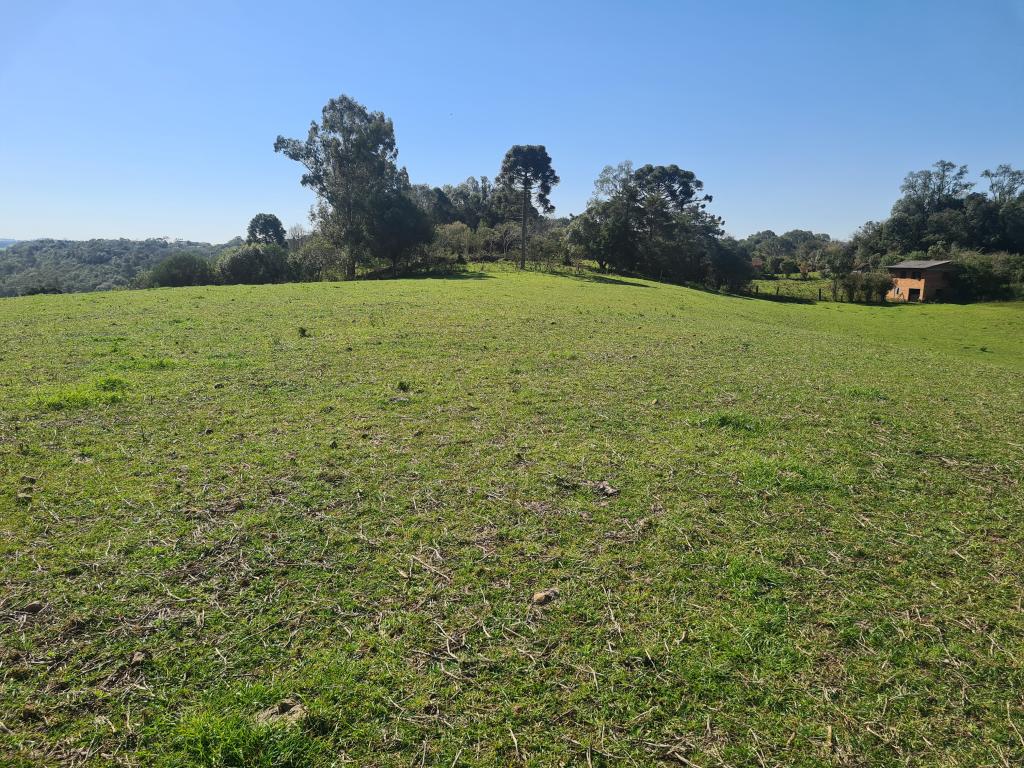 ÁREA DE TERRAS,  ART1242670