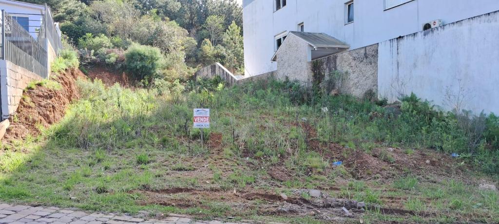 TERRENO,  TER1329845