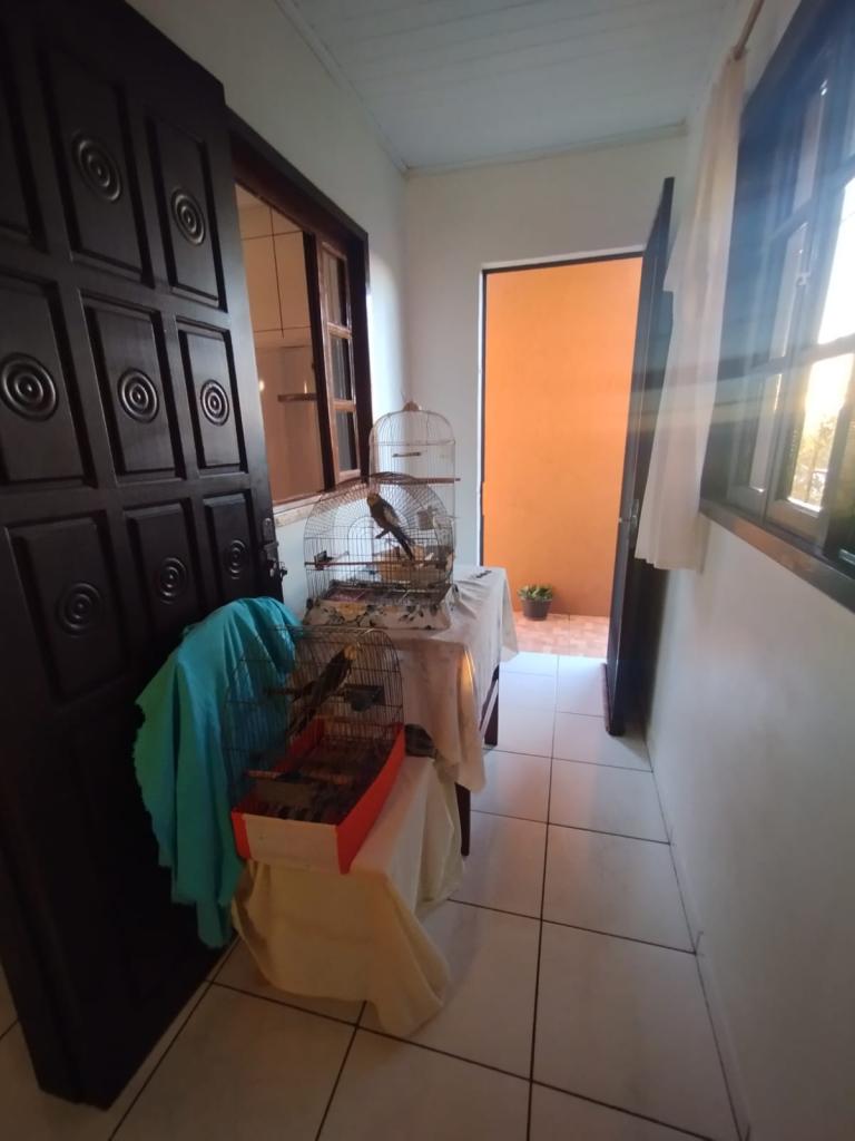 CASA CAS54332G
