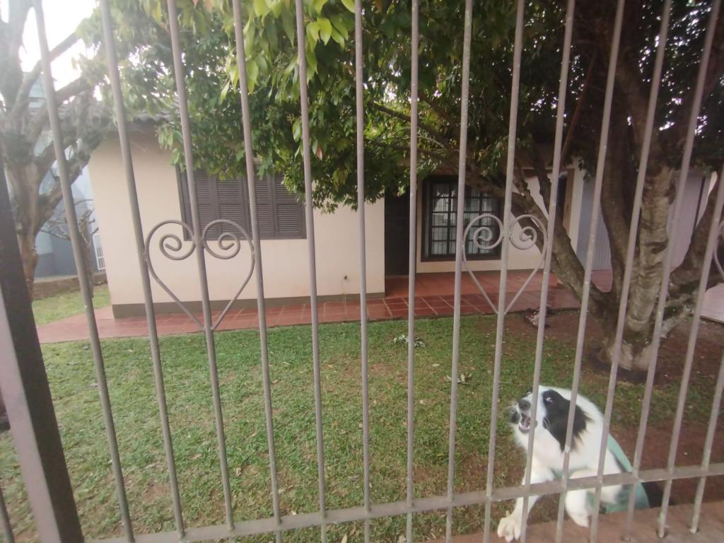 CASA CAS54554G