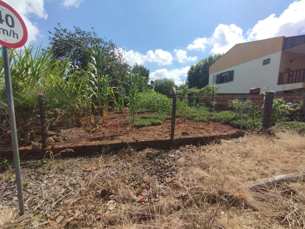 TERRENO TER53886G