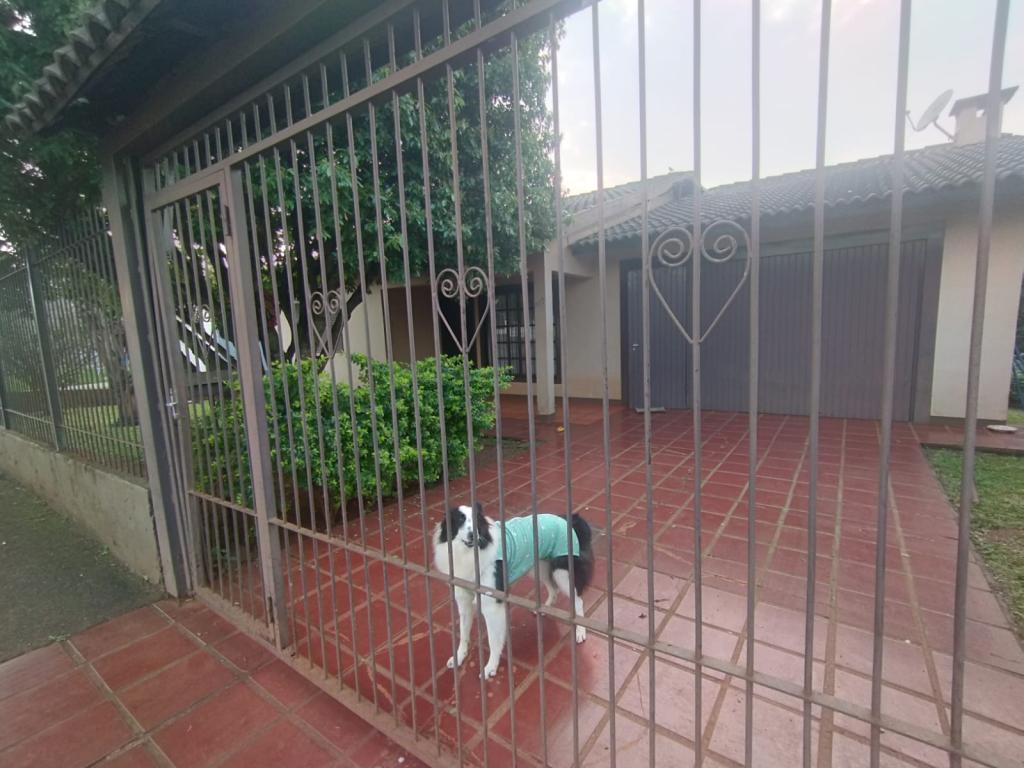 CASA CAS54554G