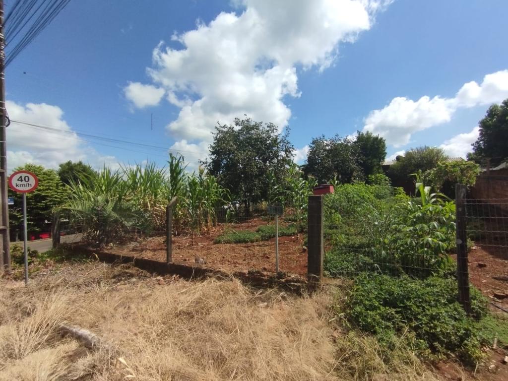 TERRENO TER53886G
