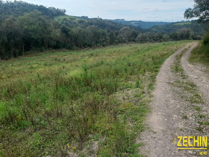 ÁREA DE TERRAS em Interior, Nova Prata - RS