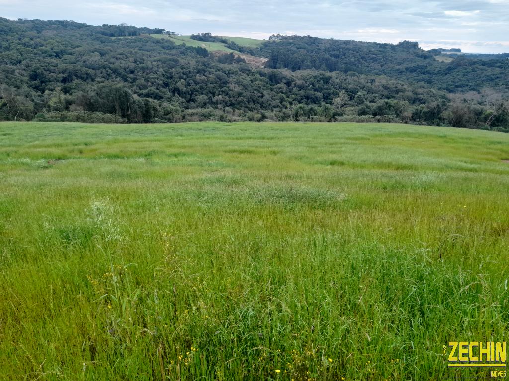 ÁREA DE TERRAS em Interior - Nova Prata - RS