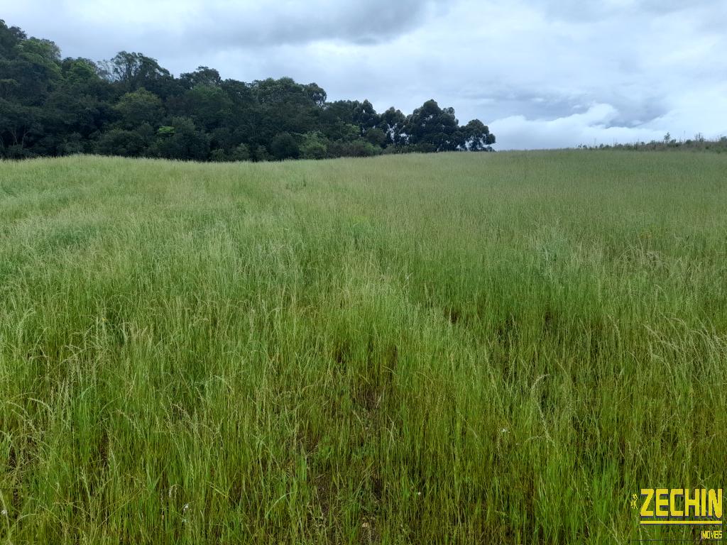 ÁREA DE TERRAS em Interior - Protásio Alves - RS