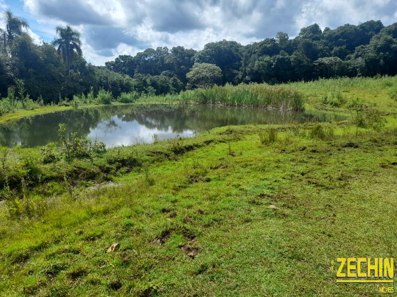 ÁREA DE TERRAS em Interior, Nova Prata - RS