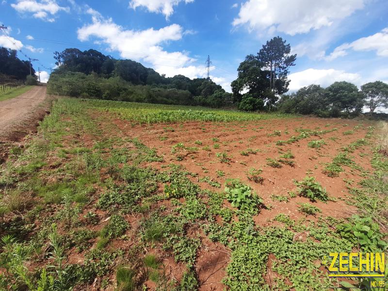 TERRENO em Interior - Nova Prata - RS