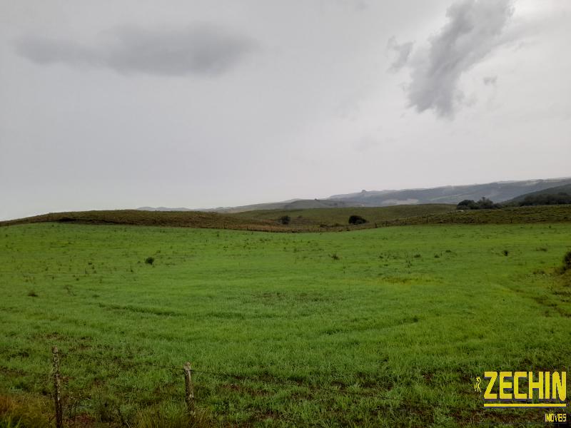 ÁREA DE TERRAS em Interior, André da Rocha - RS
