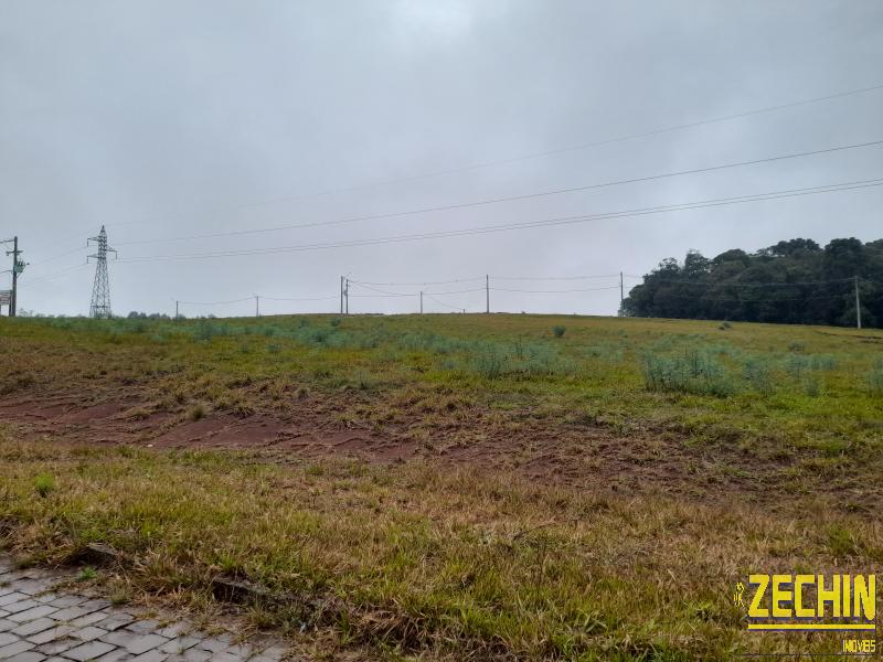 TERRENO em Linha Aimoré - Vila Flores - RS