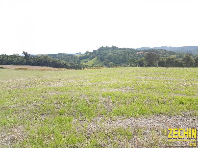 ÁREA DE TERRAS em Interior - Nova Prata - RS