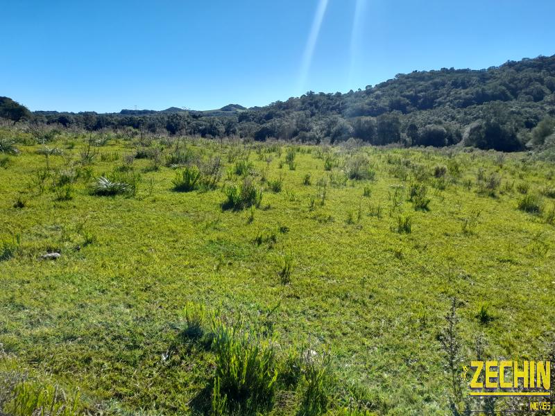 ÁREA DE TERRAS em  - Muitos Capões - RS