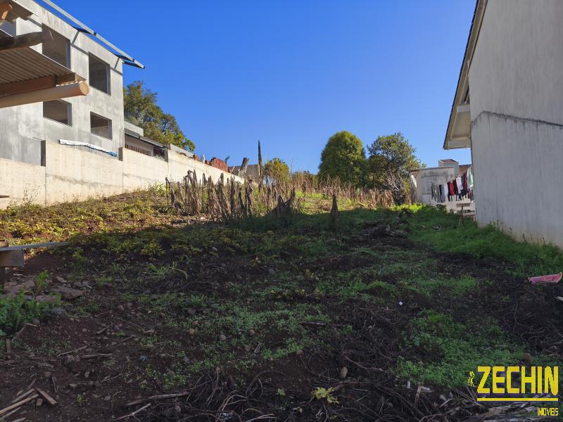 TERRENO em Sagrada Família - Nova Prata - RS