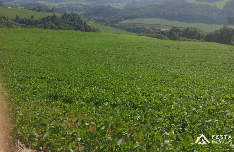 ÁREA DE TERRAS em Interior - Veranópolis - RS
