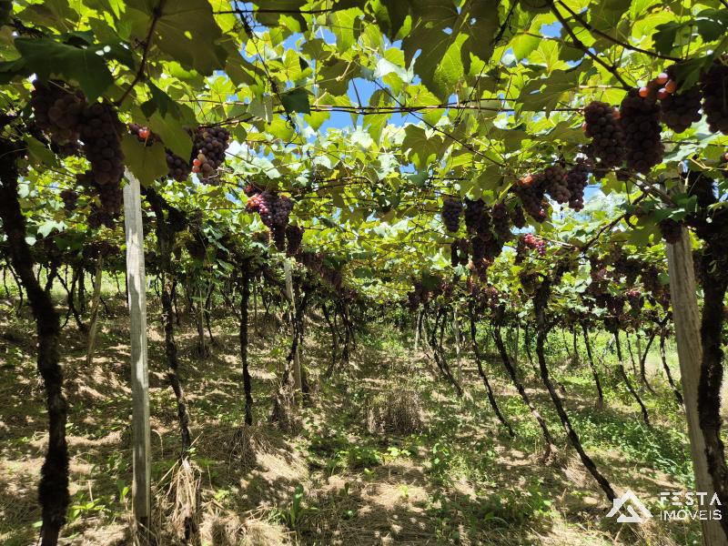 ÁREA DE TERRAS em Interior - Veranópolis - RS