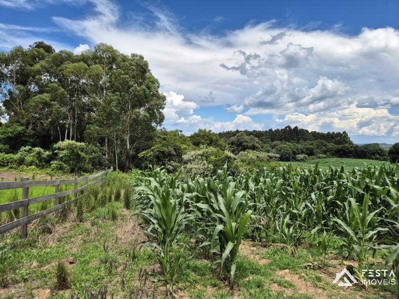 ÁREA DE TERRAS em Aimoré - Vila Flores - RS